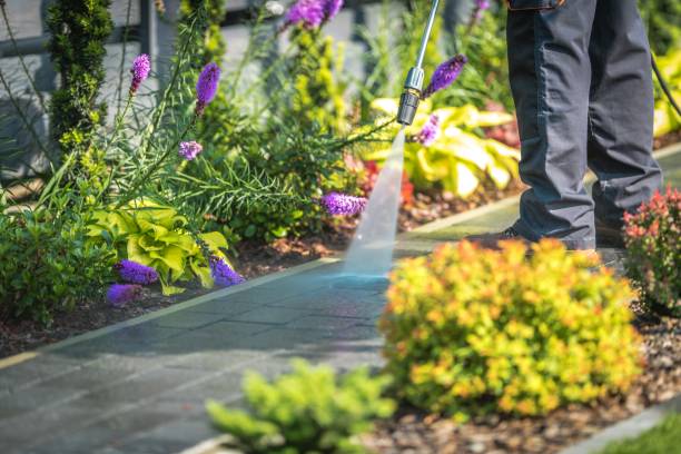 Best Boat and Dock Cleaning  in Issaquah, WA